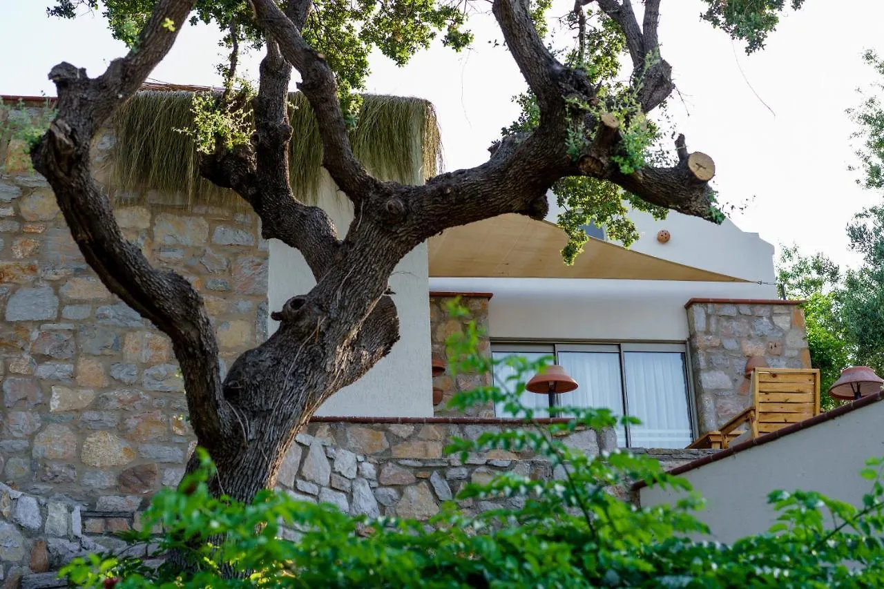 Bed & Breakfast Odette Bodrum