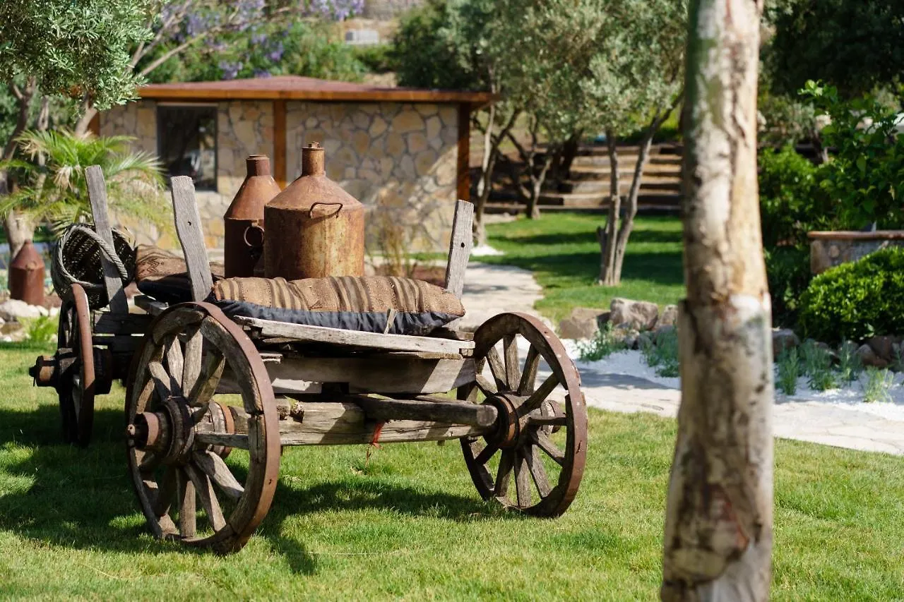 Odette Bodrum