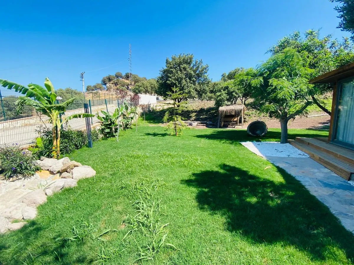 Bed & Breakfast Odette Bodrum Turchia